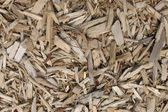 biomass boilers Zeals
